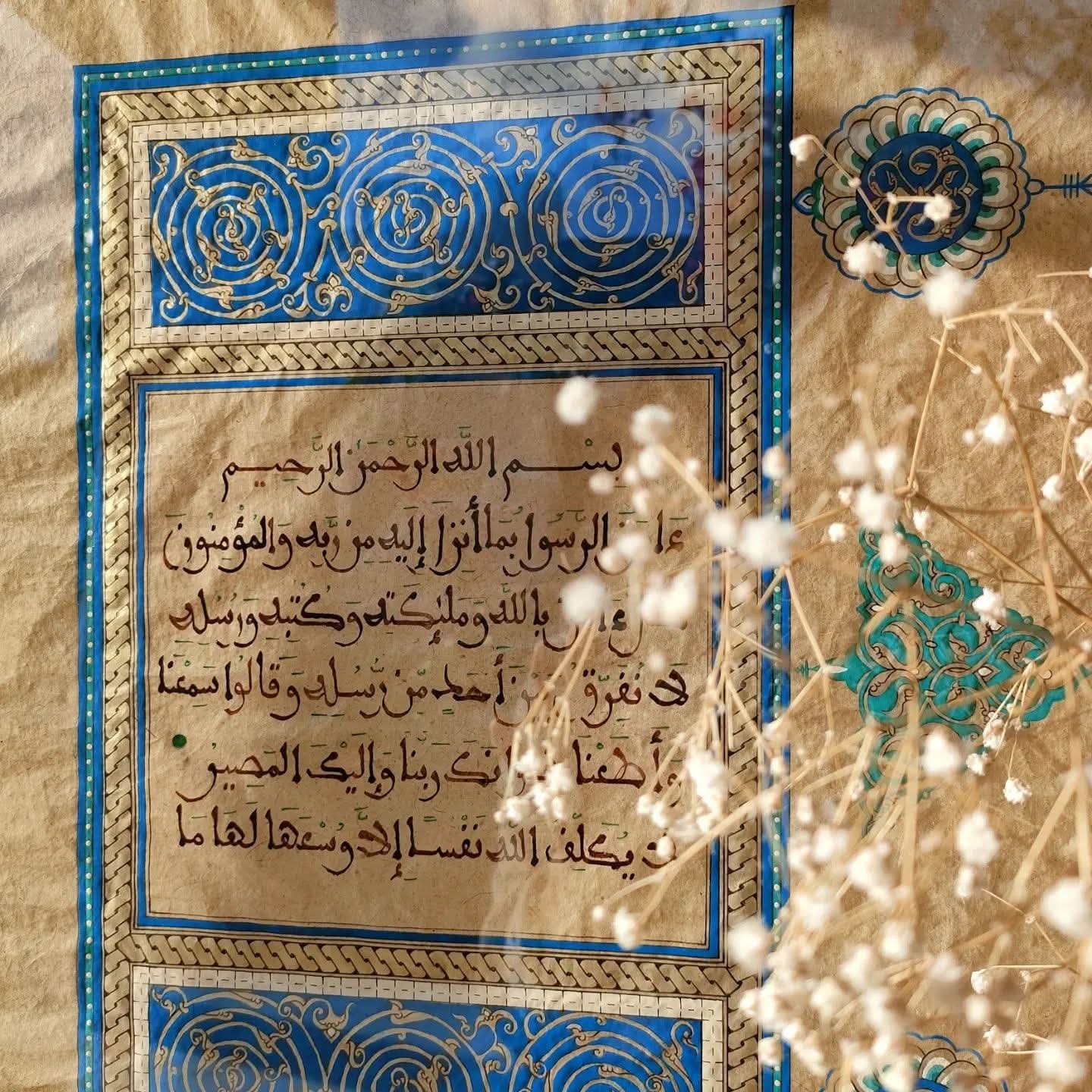 FB_IMG_1771094744593