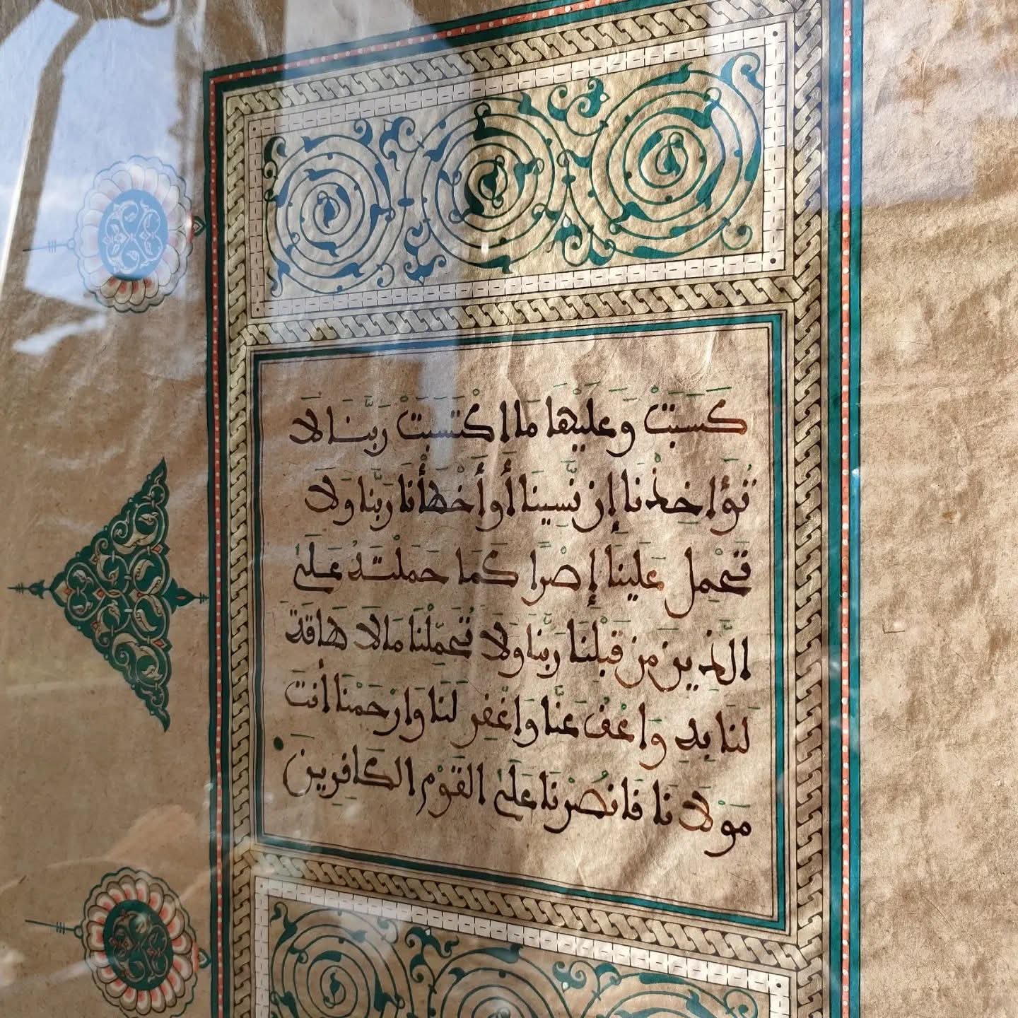 FB_IMG_1771094749544